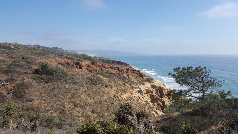 Torrey Pines State Natural Reserve, San Diego