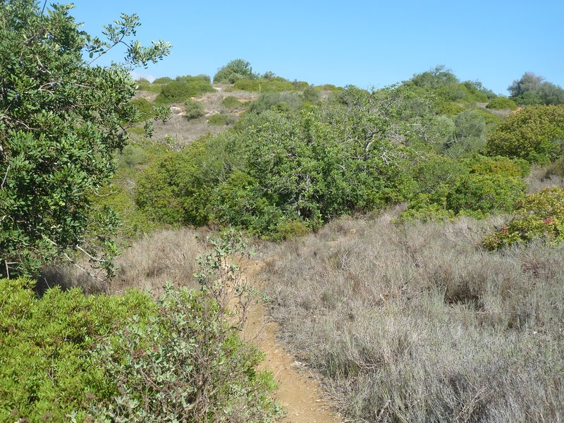 Passadiços de Alvor