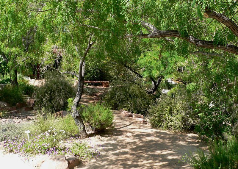 Springs Preserve