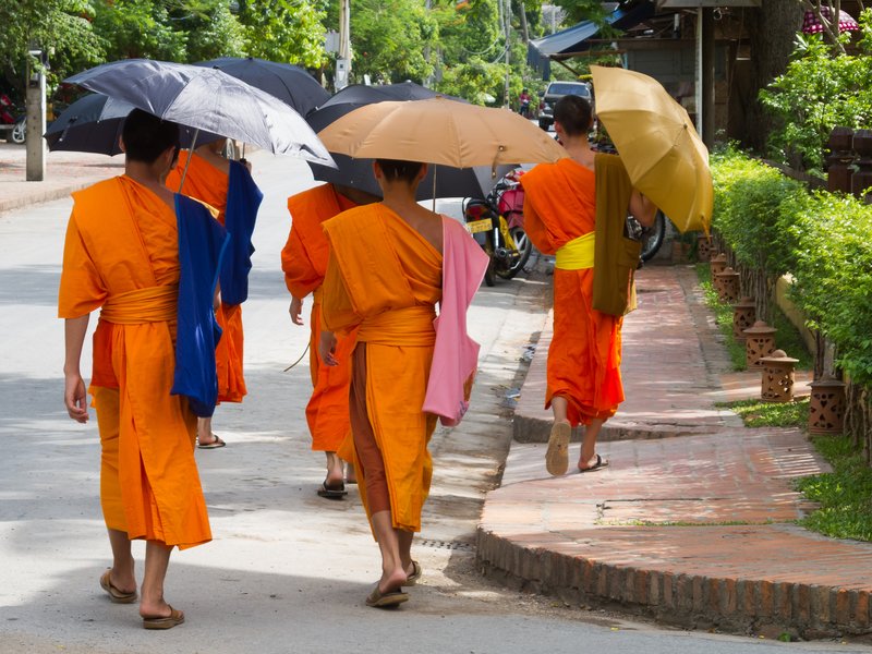 Buddhist monks in the Tak Bat morning alms procession, Luang Prabang