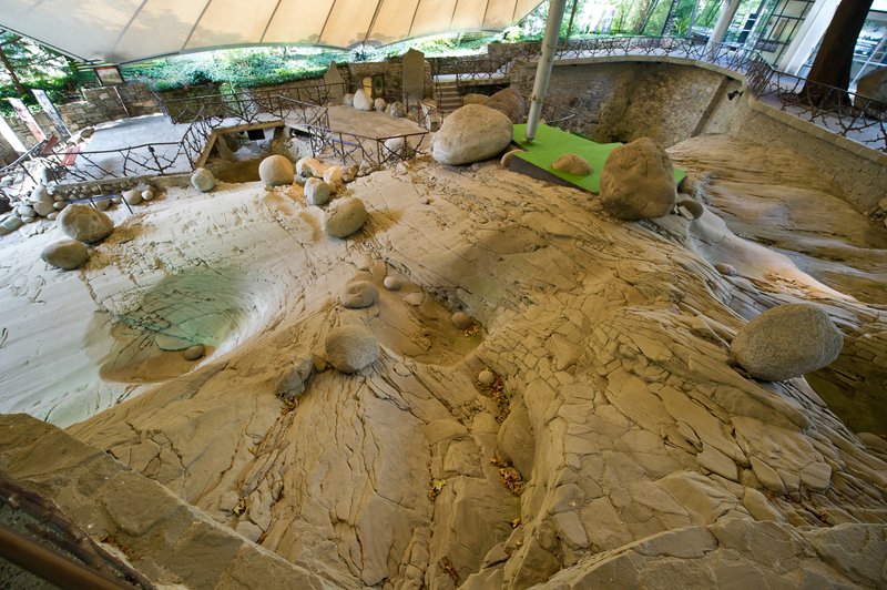 Glacier Garden