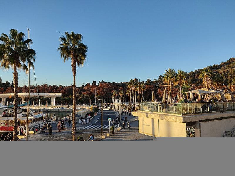 Muelle Uno & Palmeral de las Sorpresas