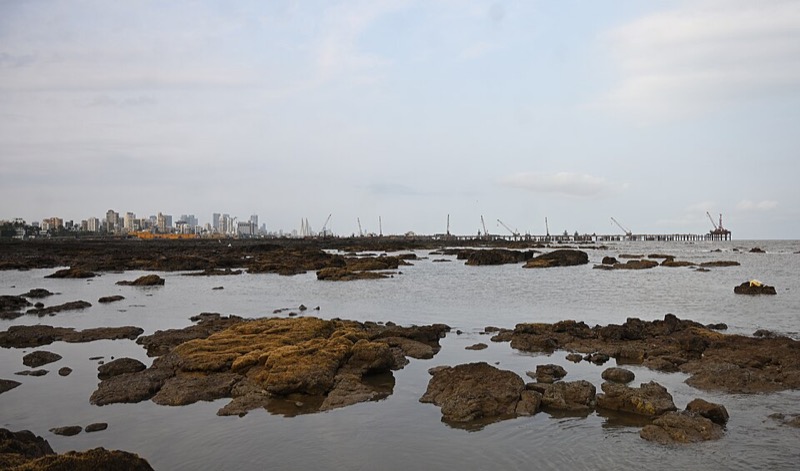 Carter Road Bandra promenade Mumbai skyline