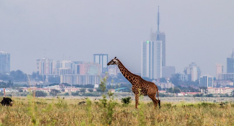 Nairobi National Park