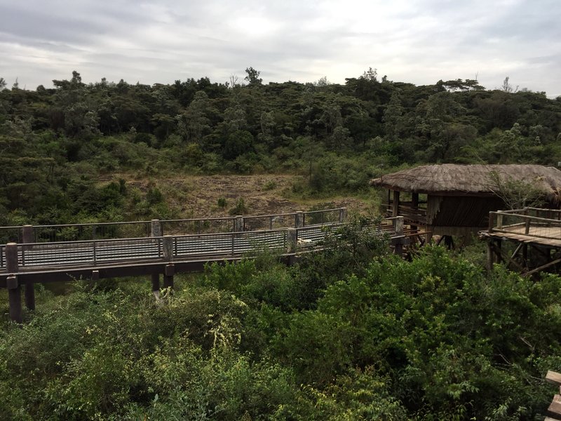Nairobi Safari Walk