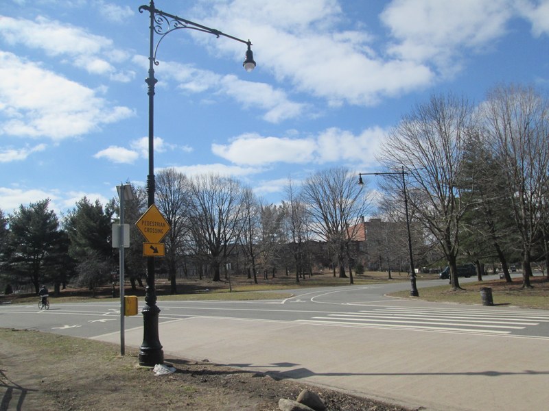 Prospect Park Nethermead meadow