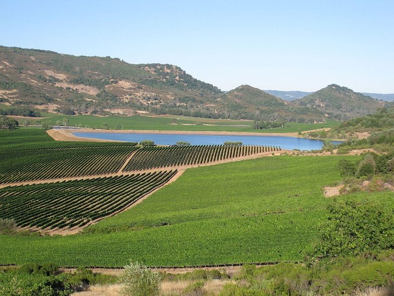 Napa Valley vineyards Atlas Peak California