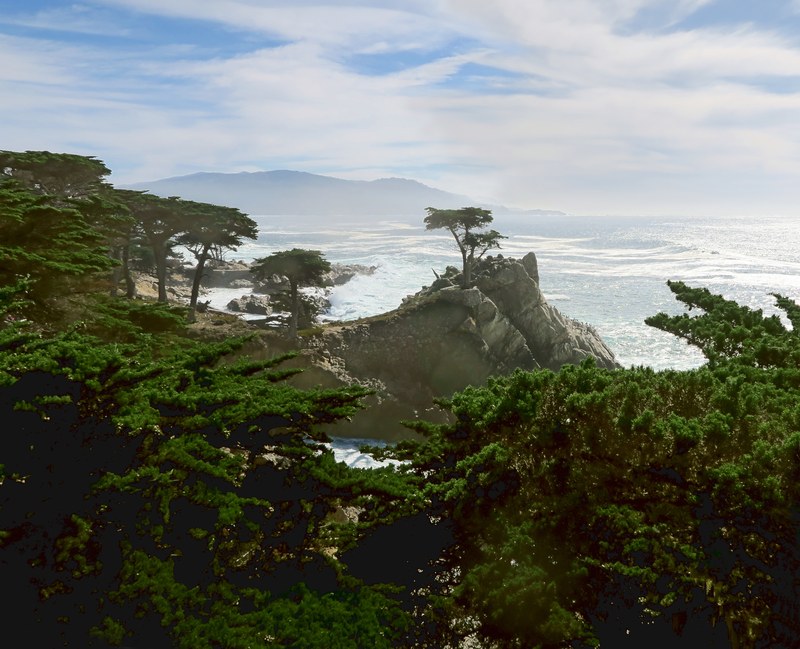 Lone Cypress tree on 17-Mile Drive Pebble Beach