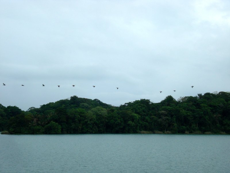 Gatún Lake