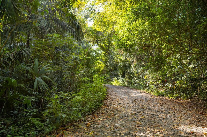 Soberanía National Park