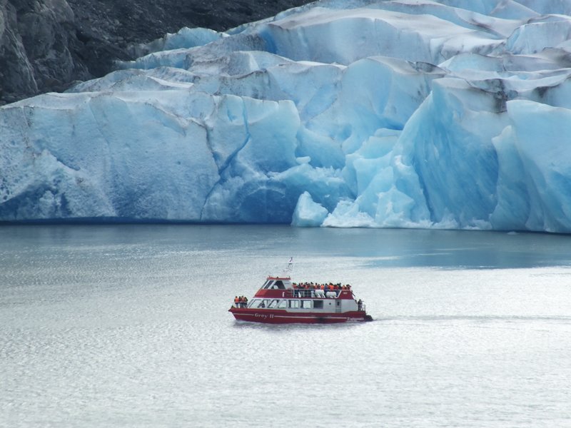 Grey Glacier Boat Navigation