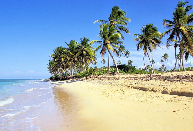 Broad public beach at Playa Arena Gorda Bávaro with local vendors