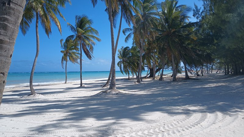 Crescent of white sand at Playa Juanillo inside Cap Cana estate
