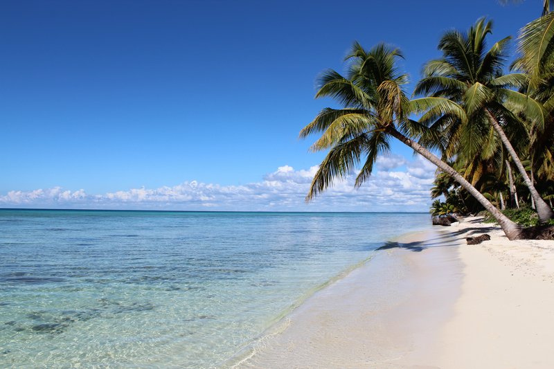Palm-fringed white sand beach on Isla Saona inside Del Este National Park