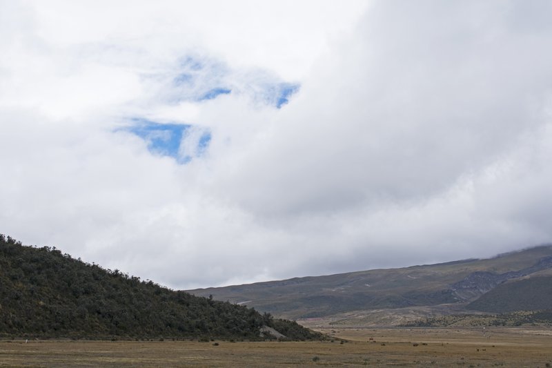 Cotopaxi National Park