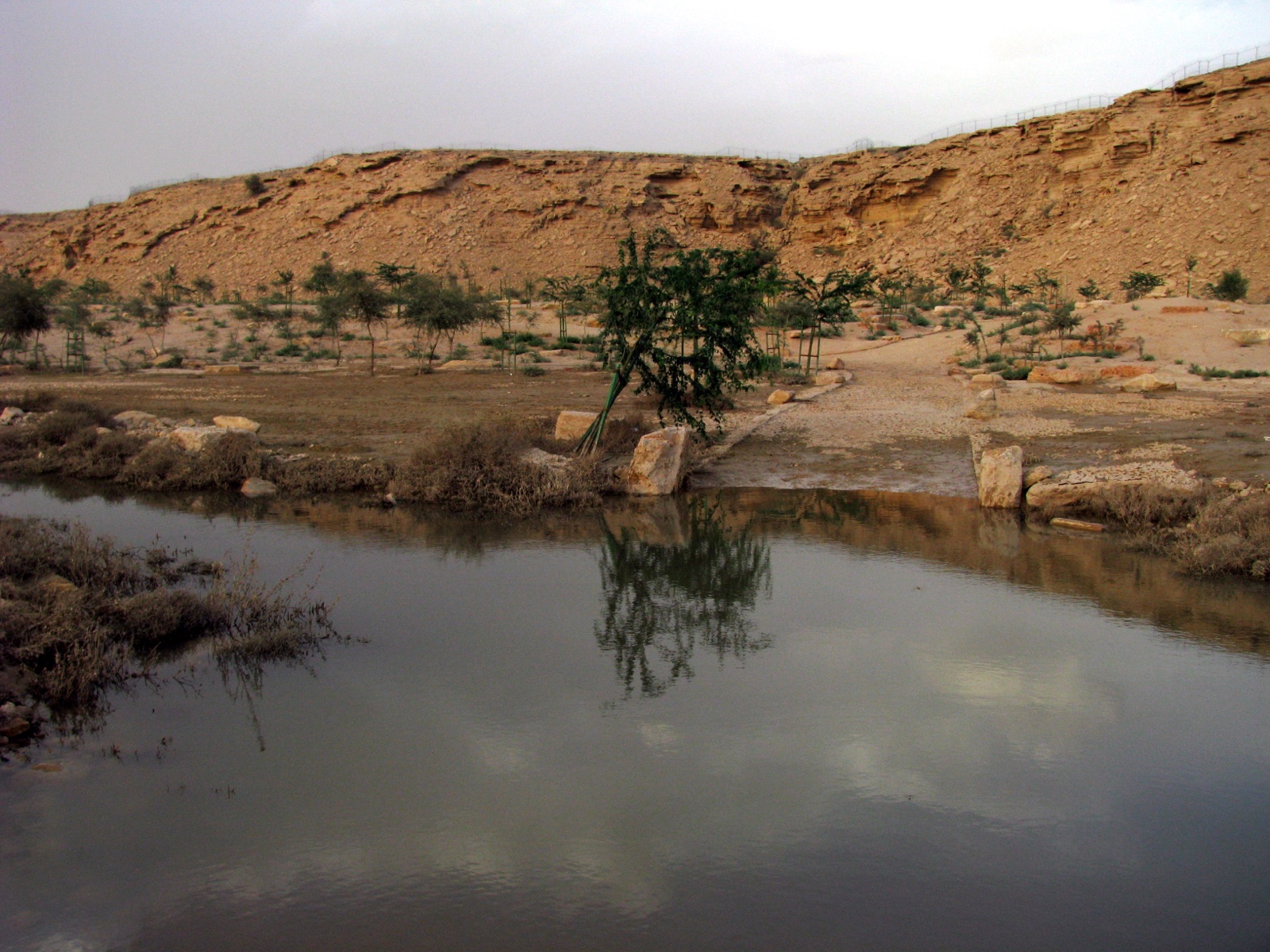 Wadi Hanifah, Riyadh