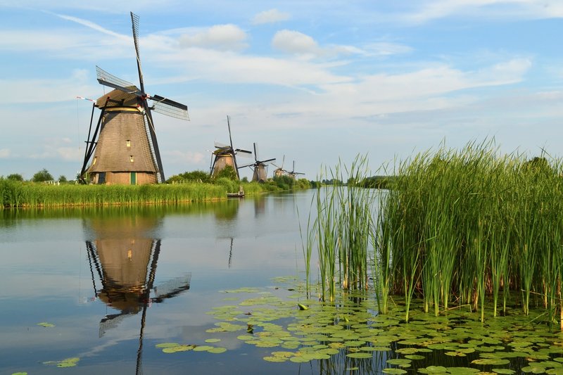 Kinderdijk windmills