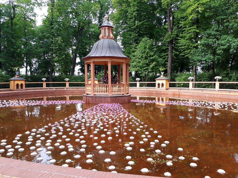 Summer Garden