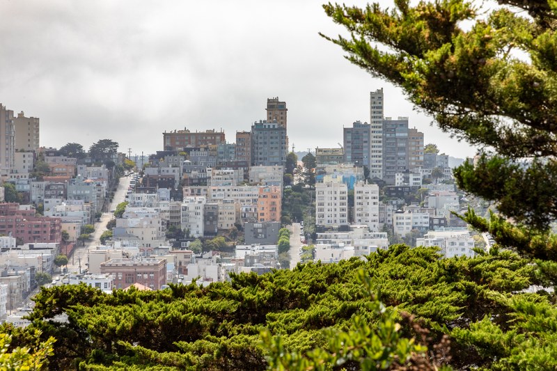Coit Tower from Pioneer Park, San Francisco
