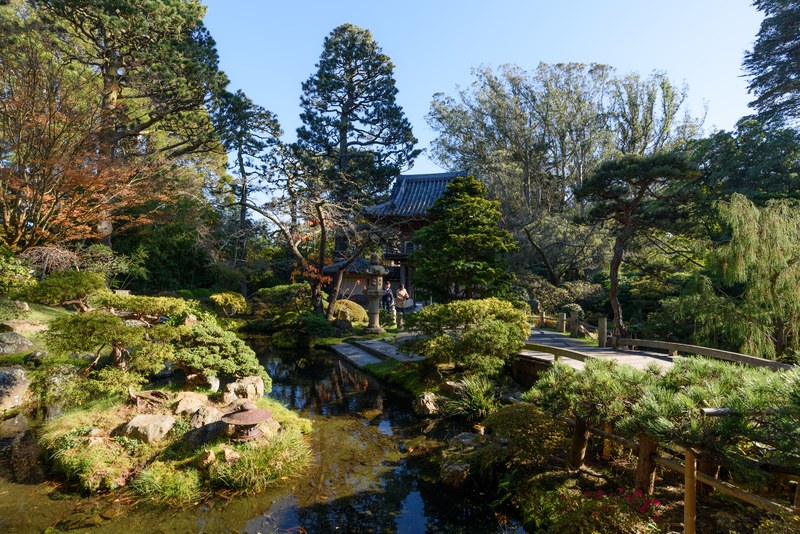 Japanese Tea Garden, Golden Gate Park