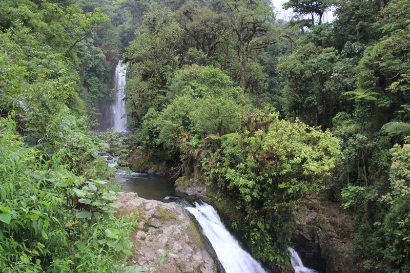 La Paz Waterfall cascading through cloud forest canyon