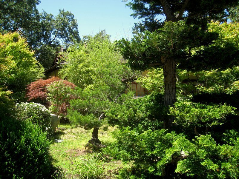 Hakone Estate and Gardens