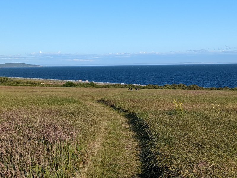 South Beach Trail, American Camp