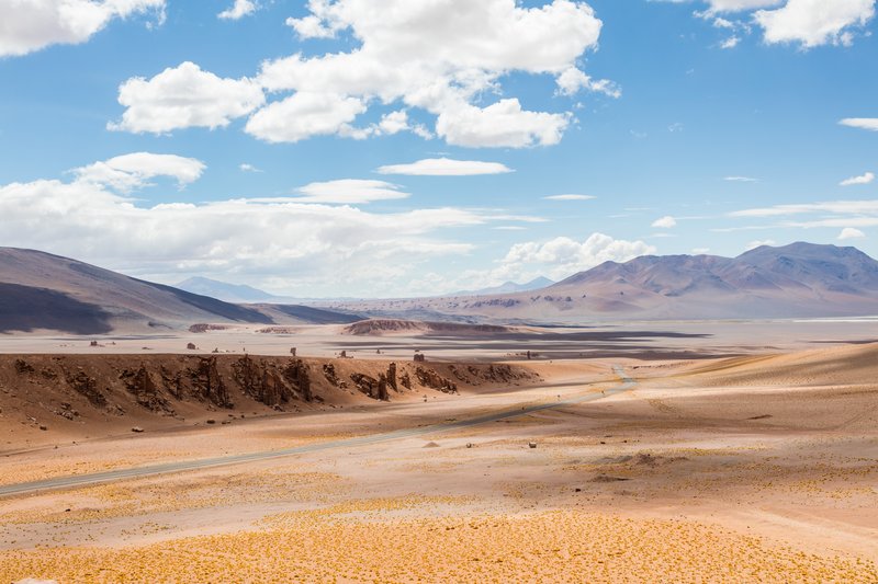 Monjes de la Pacana