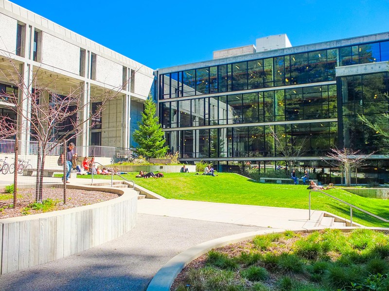 McHenry Library at UC Santa Cruz, set among the redwoods
