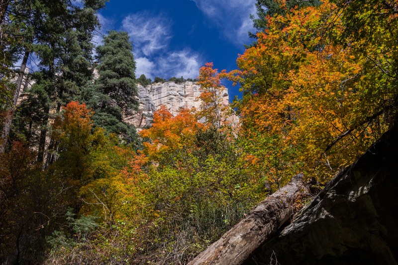 Oak Creek Canyon