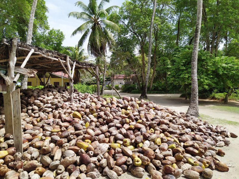 L'Union Estate La Digue