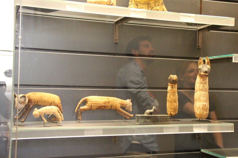 Ancient Egyptian animal mummies