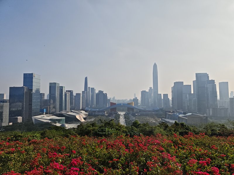 Futian skyline from Lianhuashan Park