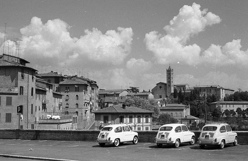 Santa Maria dei Servi, Siena