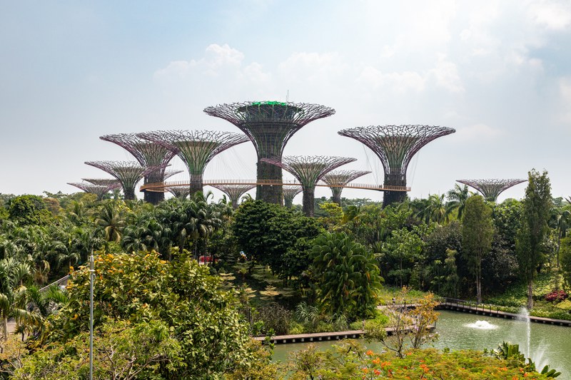 Supertree Grove & Garden Rhapsody