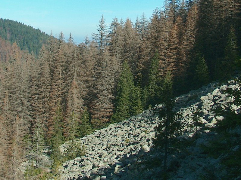 Zlatni Mostove