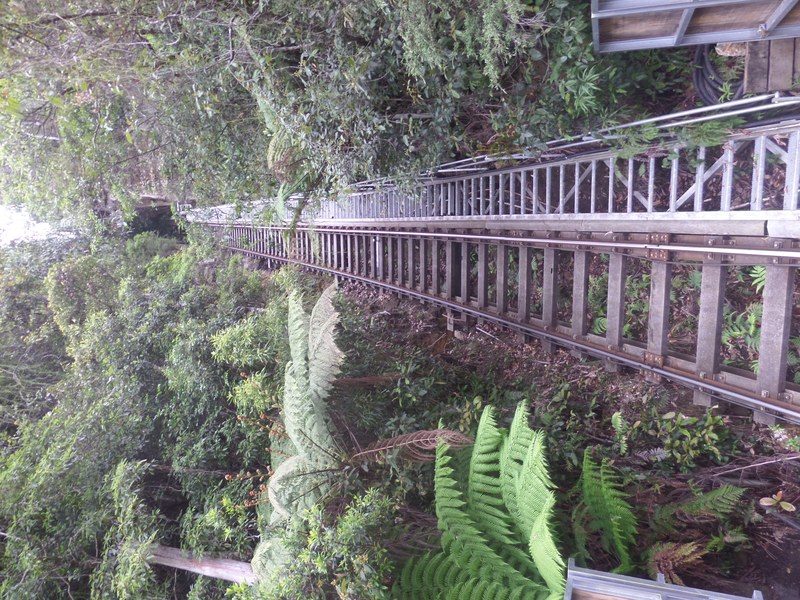 Scenic Railway descending the Jamison Valley cliff