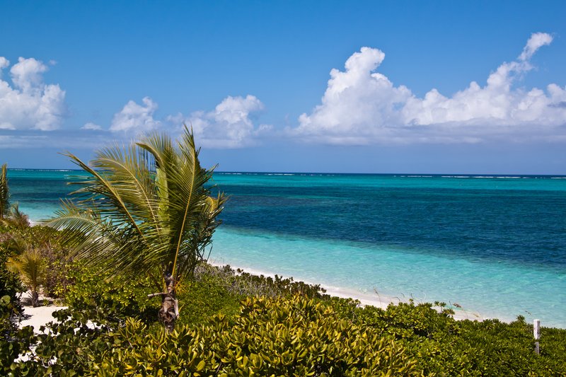 Turtle Cove marina, Providenciales