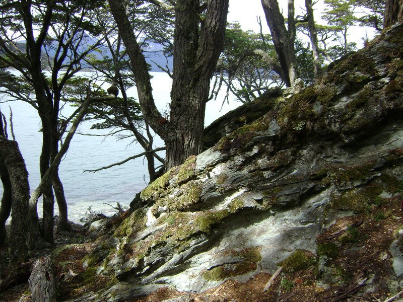 Bahía Lapataia, Tierra del Fuego National Park