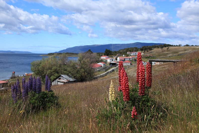Estancia Harberton