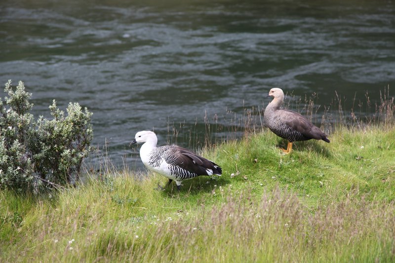Tierra del Fuego National Park