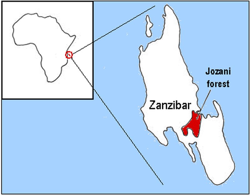 Jozani-Chwaka Bay National Park